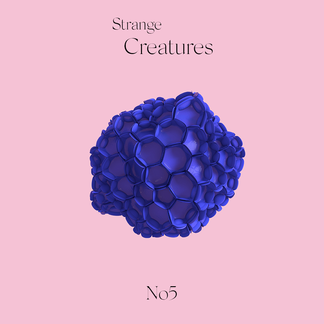 Strange Creature No5 ⦿